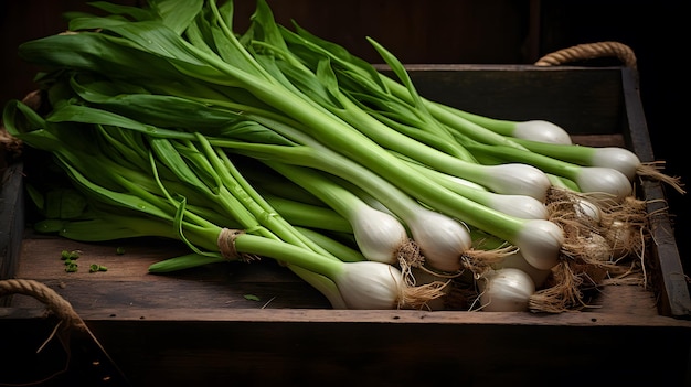 Cebollas frescas de primavera