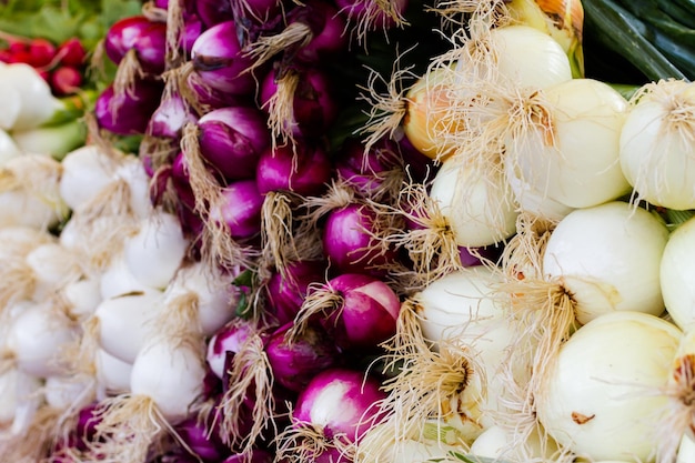 Cebollas orgánicas frescas en el mercado de agricultores local.