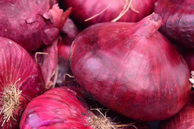 Cebollas rojas aisladas en blanco