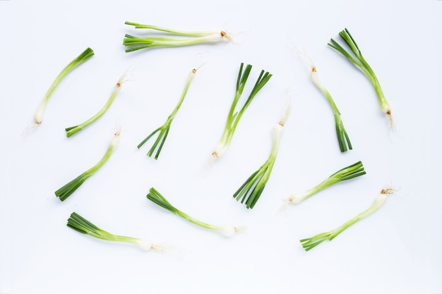 Cebollas verdes aisladas en blanco