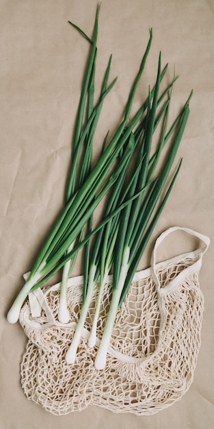 Cebollas verdes frescas y cebolleta en bolsa ecológica vista superior plana