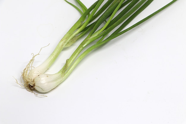 Cebolleta aislado sobre fondo blanco, primer plano cebollas verdes.