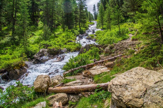 Ceillac queyras en hautes alpes en francia