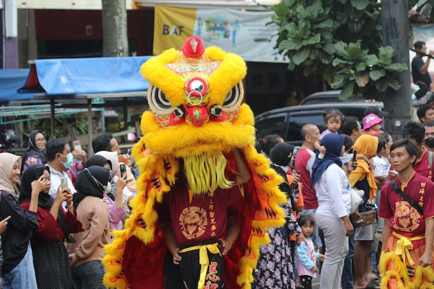 Celebración de la danza del león del año nuevo chino en el festival