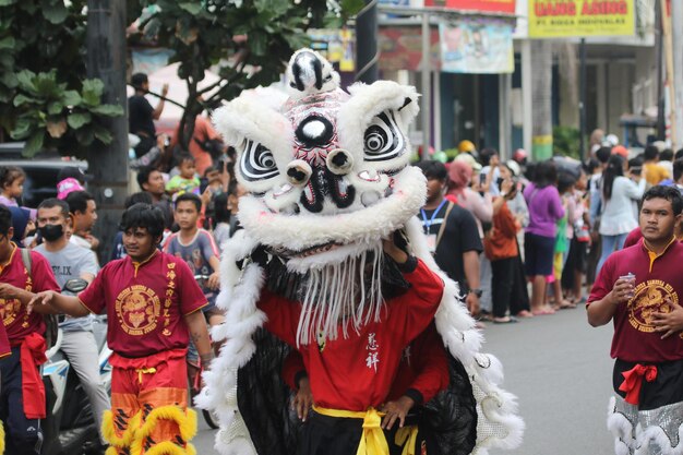 Celebración de la danza del león del año nuevo chino en el festival