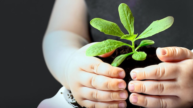 Celebrar o crescimento Foto cativante de mãos segurando uma planta verde jovem Abraçar a beleza