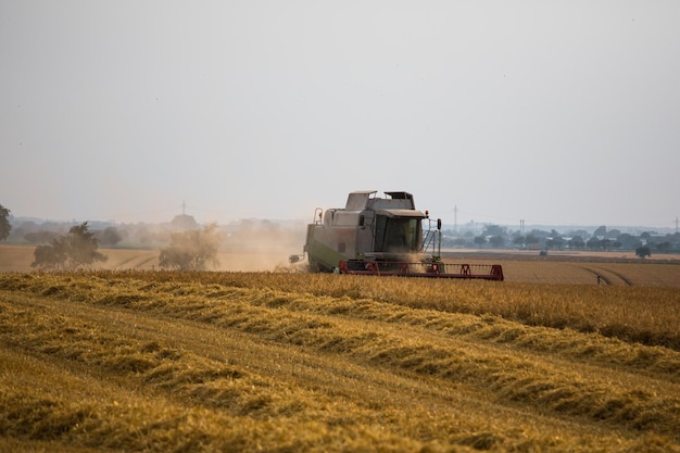 celeiro no campo contra o céu limpo