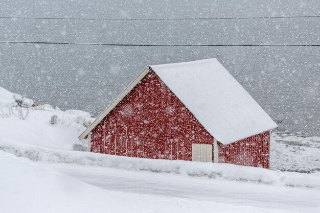 Foto celeiro no campo durante a queda de neve