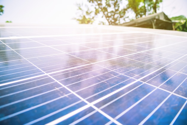 Célula solar em fazenda solar com iluminação verde da árvore e do sol refletir