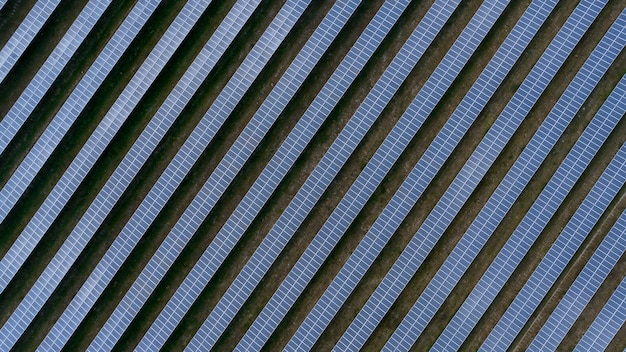 Célula solar de paneles solares en tecnología de energía limpia de granja solar para el concepto futuro