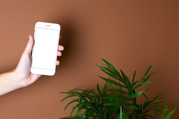 Celular com tela de toque na mão em laranja marrom com vista lateral da planta verde.