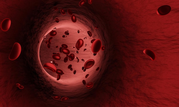 Células vermelhas de sangue em uma artéria ou vaso sanguíneo fluem dentro do corpo médico saúde humana 3D Rendering