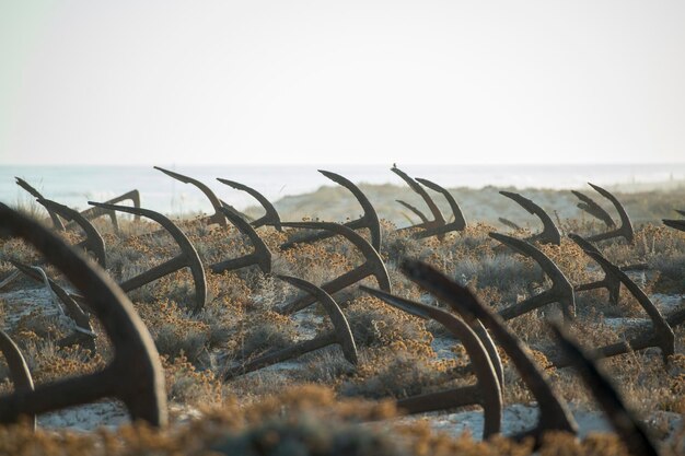 Foto cementerio de anclas en la isla tercera