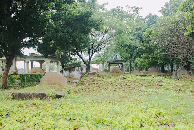 Cementerio con árboles y muchas lápidas en un día brillante