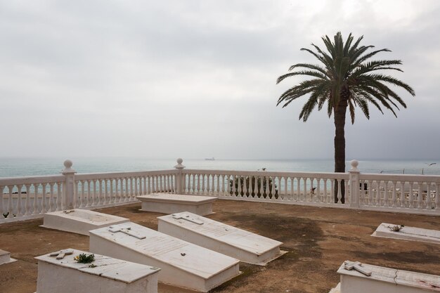 Cementerio de Melilla con palmera y el mar de fondo