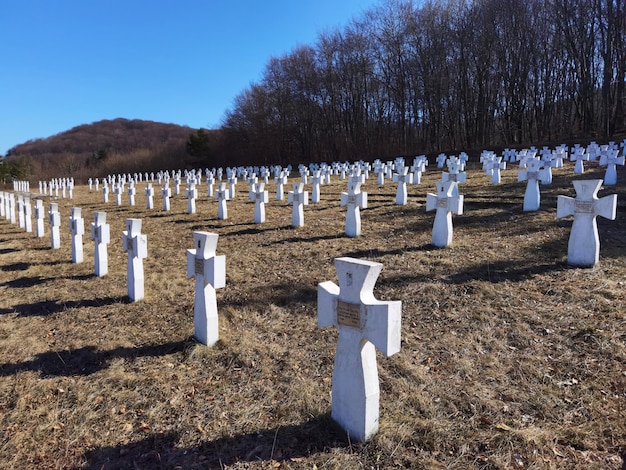 Cementerio militar de soldados ucranianos de la 1ª División Gallega