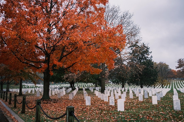 Foto cementerio nacional de arlington