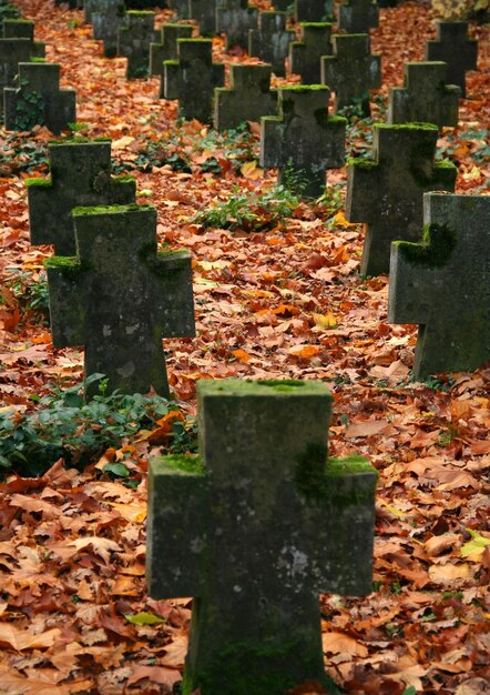 el cementerio de otoño