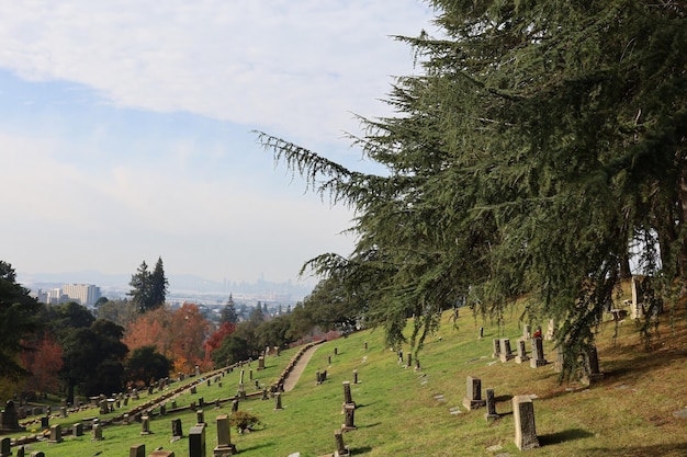 Cementerio con vista a las montañas en Oakland, California