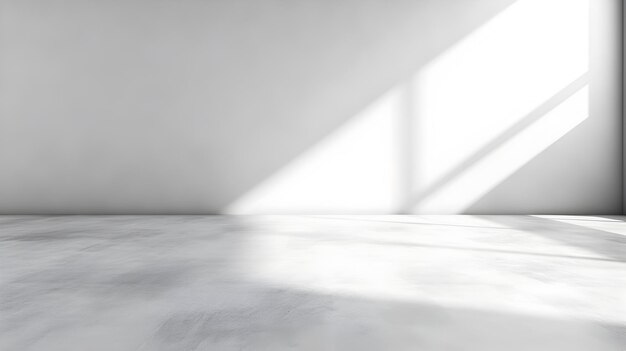 Cemento de hormigón mínimo pared en blanco contemporánea mínima con luz inclinada