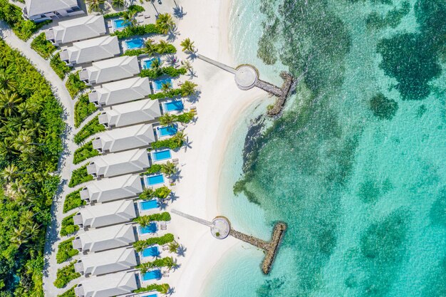 Cena aérea da praia da ilha das Maldivas. Areia branca, lagoa de mar claro, palmeiras. Férias de luxo