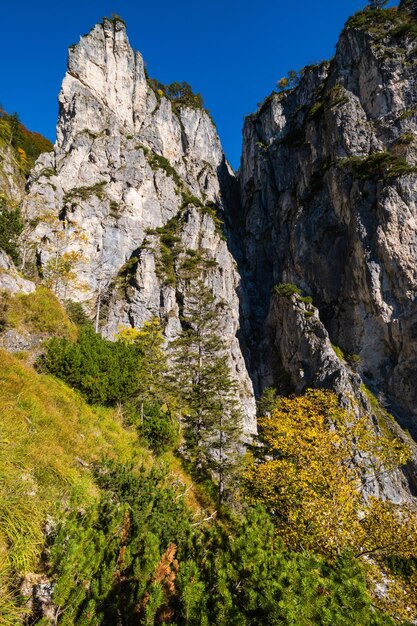 Cena alpina de outono colorida ensolarada Vista pacífica da montanha rochosa do caminho de caminhada perto do lago Almsee, Alta Áustria