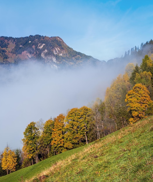 Cena alpina de outono idílica ensolarada Manhã enevoada pacífica Alpes vista para a montanha do caminho de caminhada de Dorfgastein aos lagos Paarseen Land Salzburg Áustria Caminhadas pitorescas e cena conceitual sazonal