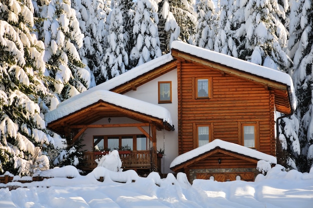 Foto cena bonita de inverno