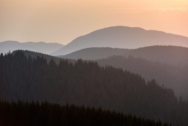 Foto cena da cordilheira da floresta ao nascer do sol. nascer do sol nas montanhas. paisagem panorâmica de montanha.