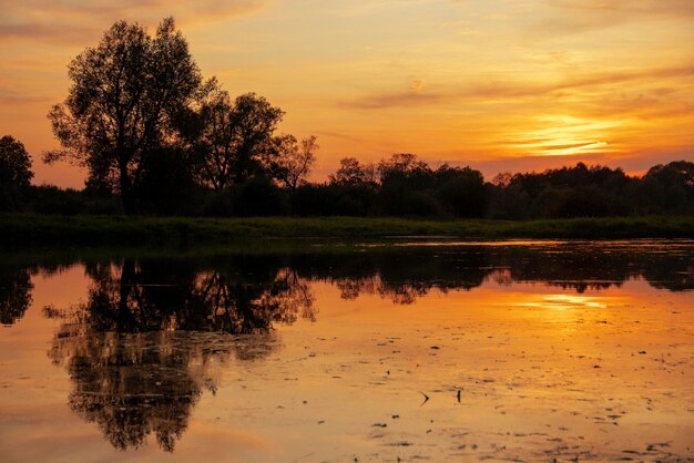 Cena da natureza do lindo céu pôr do sol de verão e paisagem refletindo no rio calmo