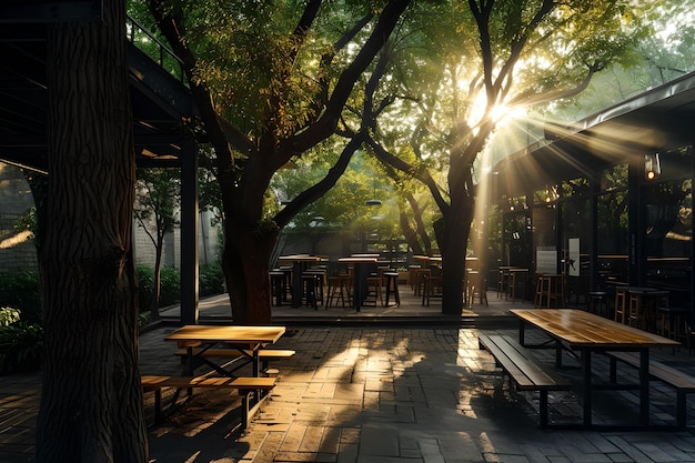 Cena de café de parque sereno ao pôr-do-sol com raios de luz ao ar livre bancos de madeira e mesas local de jantar pacífico e pitoresco AI