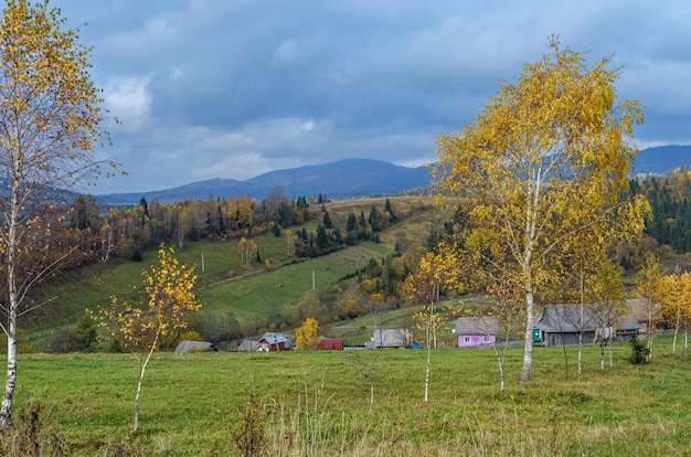 Cena de campo de montanha de outono nublado e nebuloso Cárpatos Ucrânia Pacífico pitoresco viajando natureza sazonal e cena de conceito de beleza de campo