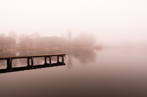 Cena de inverno e nevoeiro lago