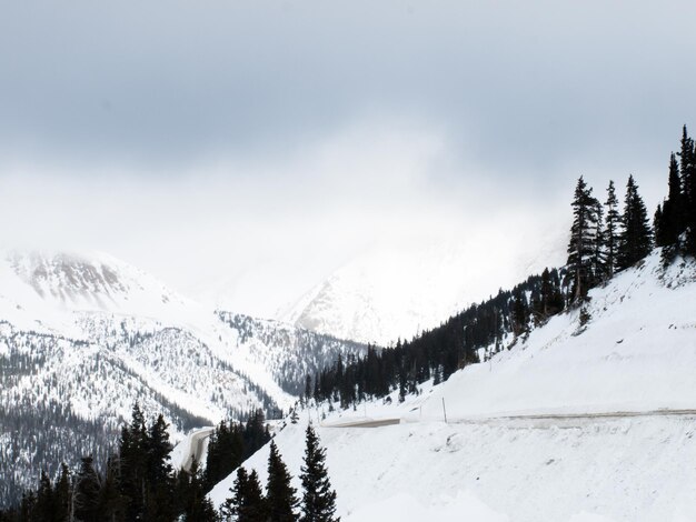 Cena de inverno nevado no alto da montanha. Montanhas Rochosas do Colorado, EUA.