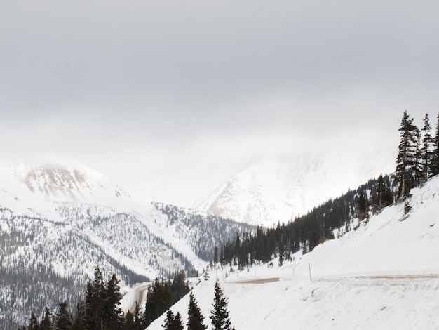 Cena de inverno nevado no alto da montanha. Montanhas Rochosas do Colorado, EUA.