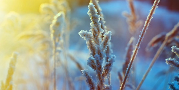 cena de inverno