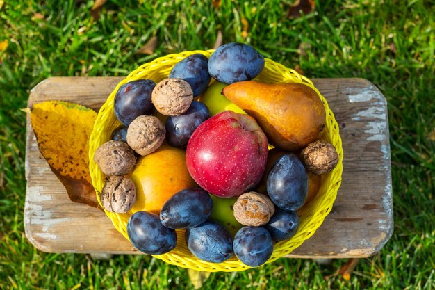 Cena de outono com colheita de frutas e nozes no jardim. beleza do outono.