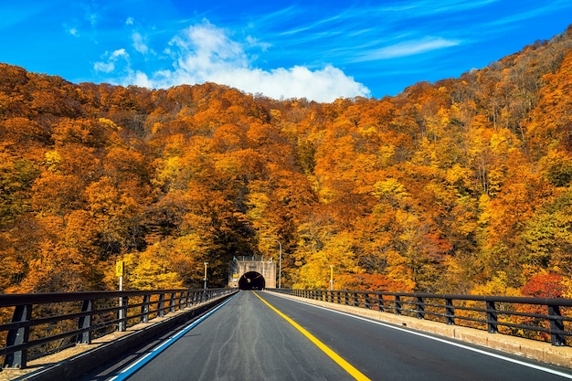 Cena de paisagem da temporada de Outono com túnel do carro na estrada em tohoku