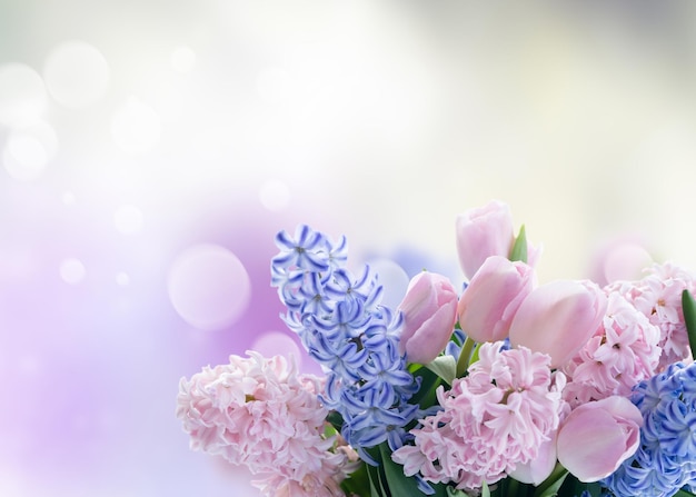 Cena de Páscoa com tulipas frescas e flores de jacinto azul e rosa em fundo cinza neutro
