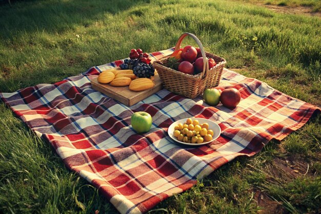 cena de piquenique com um cobertor xadrez frutas frescas e grama afundada