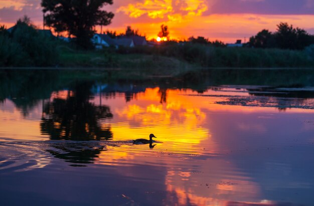 Cena do pôr do sol no lago ao pôr do sol no outono, paisagens naturais