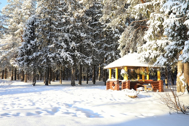 Cenador de madera en el bosque en día soleado de invierno