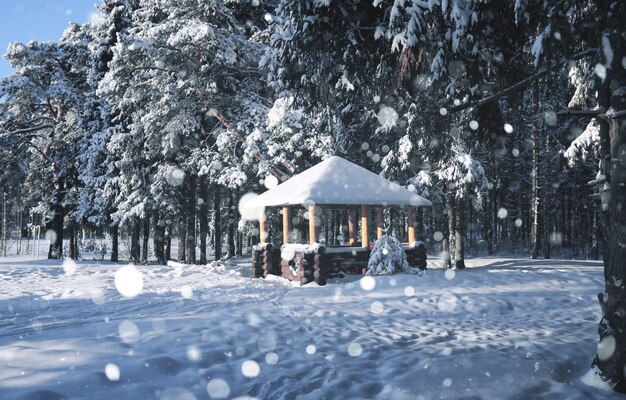 Cenador de madera en el bosque en la ventisca de nieve del invierno