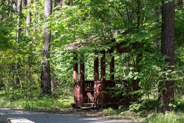 Un cenador de madera para relajarse en el bosque.