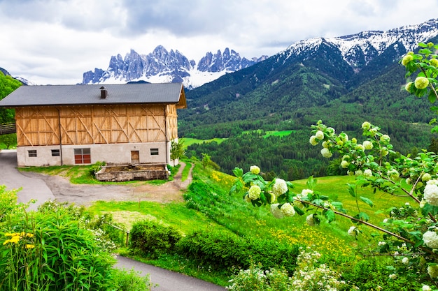 Cenário alpino, casas de fazenda nas montanhas dolomitas. natureza do norte da itália