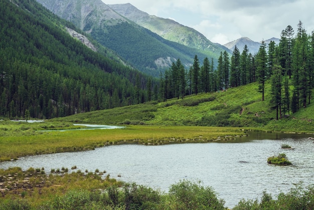 Cenário atmosférico com lago alpino e floresta de coníferas no vale da montanha. Paisagem verde dramática com árvores coníferas em encostas e ondulações na superfície da água. Belo local selvagem nas montanhas.