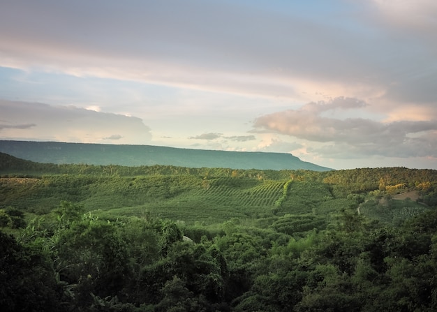 Foto cenário bonito da montanha do phu kradueng, província de phetchabun, tailândia.