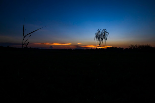 Cenário bonito da paisagem do pôr do sol colorido dramático