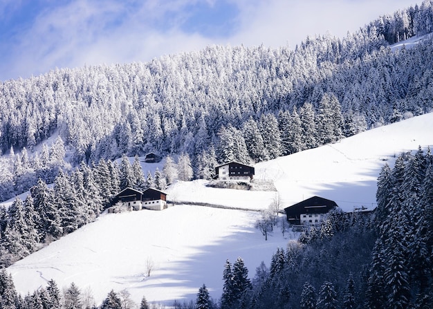 Cenário com paisagem de inverno nevado de Apls em Mayrhofen, no vale de Zillertal, perto de Innsbruck, na Áustria. Casas de campo e floresta com vista para a neve nas montanhas alpinas. Aldeia austríaca na zona rural.