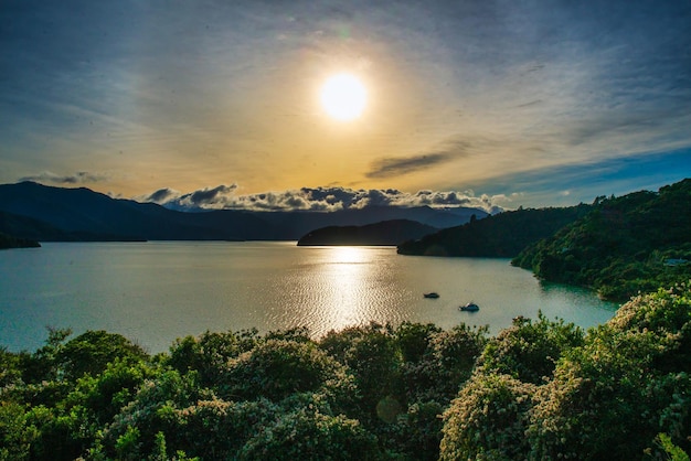 Foto cenário costeiro de marlborough sounds